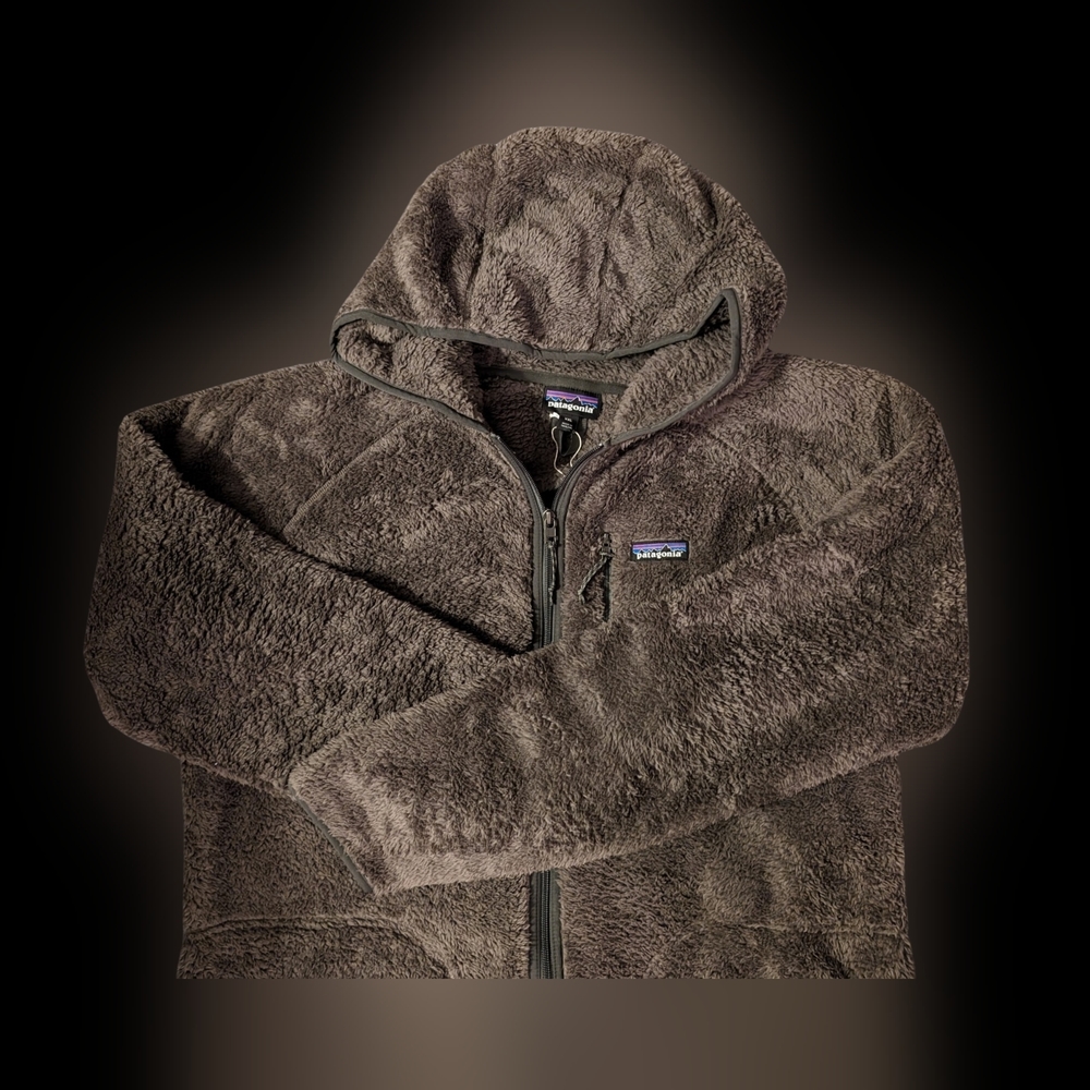 Patagonia Los Gatos Hoodie
